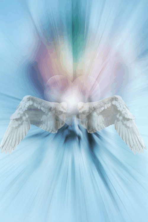 fluegel