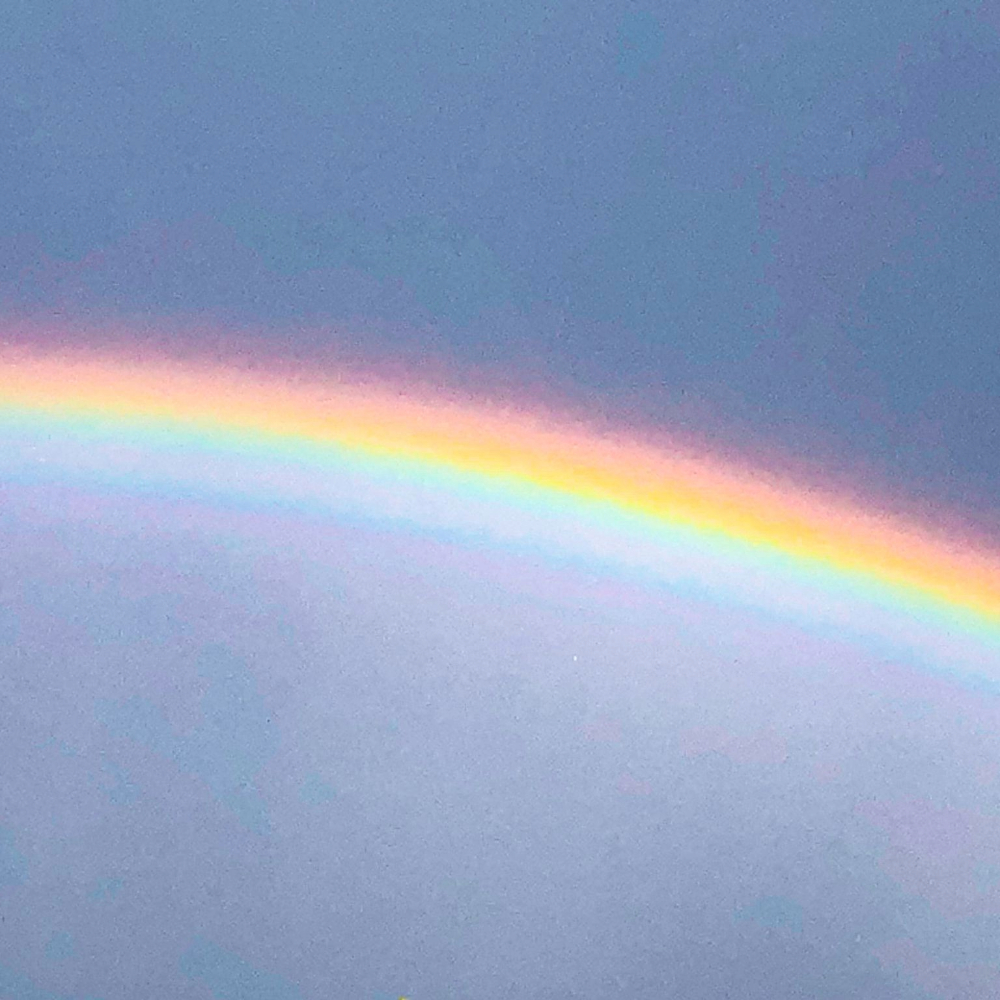 Regenbogen